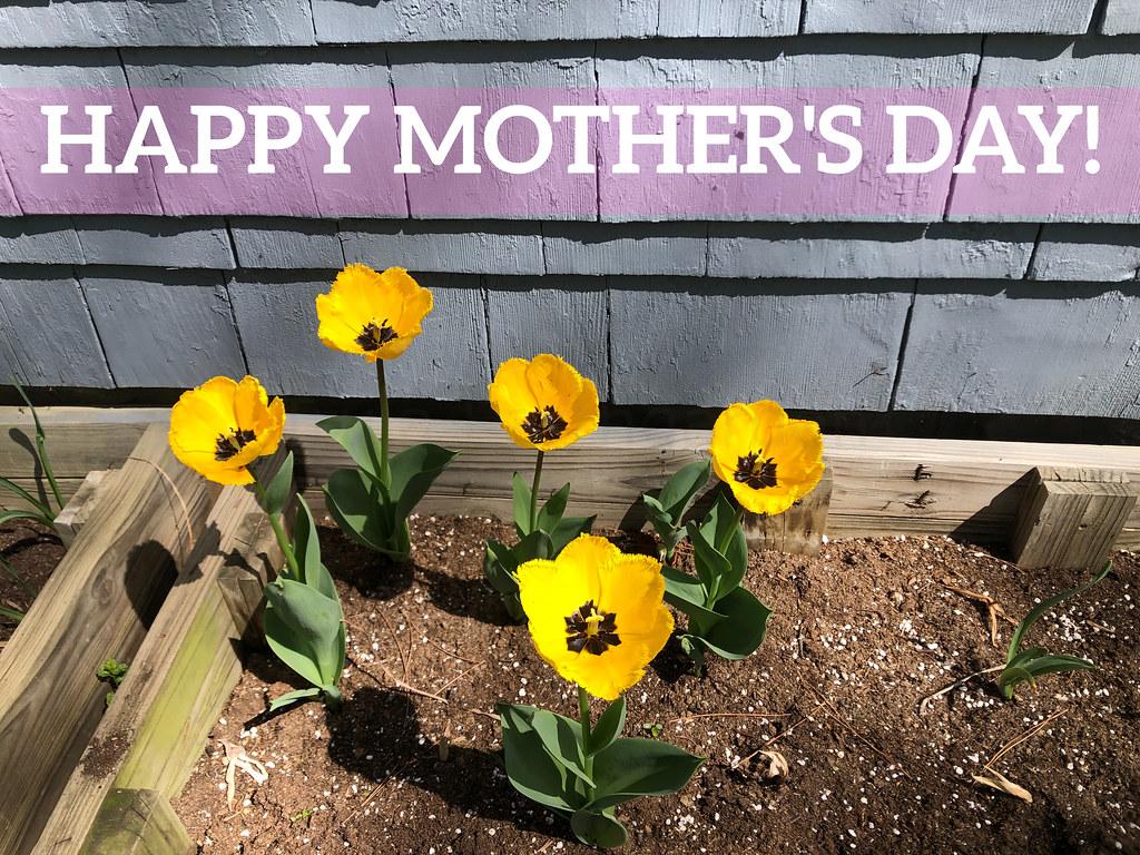 Happy Mother's Day 2022 pic with yellow tulips