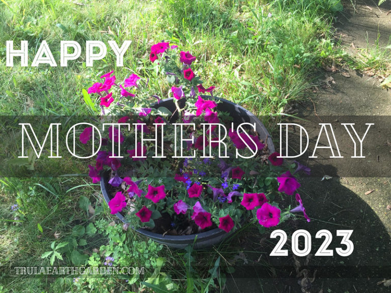 Happy Mother’s Day!