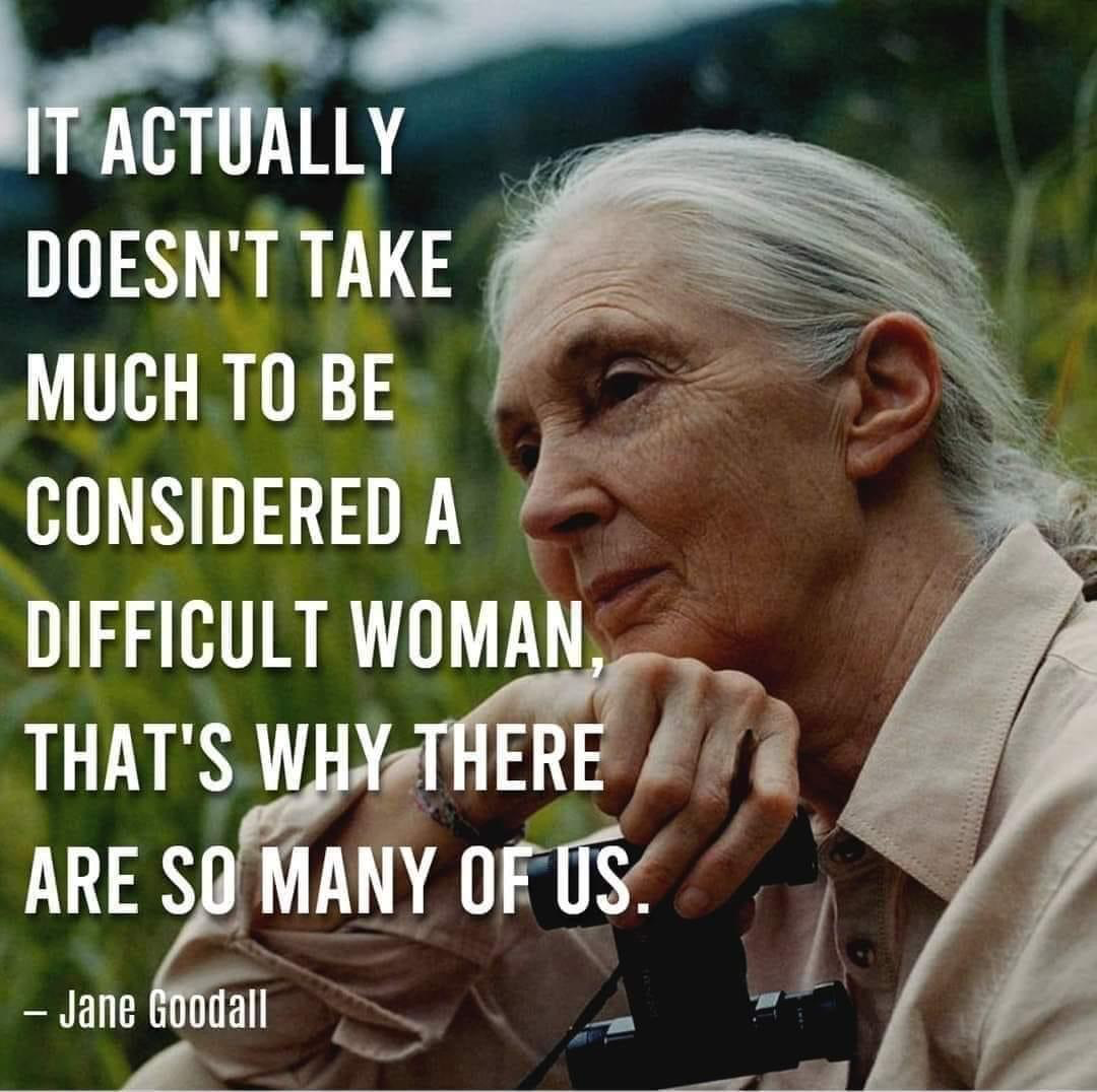 Jane Goodall quote: "It actually doesn't take much to be considered a difficult woman. That's why there are so many of us."